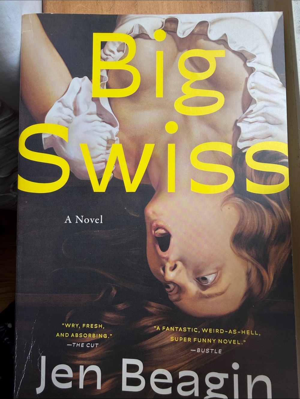 BIG SWISS Paperback Novel by Jen Beagin Fiction Book Club